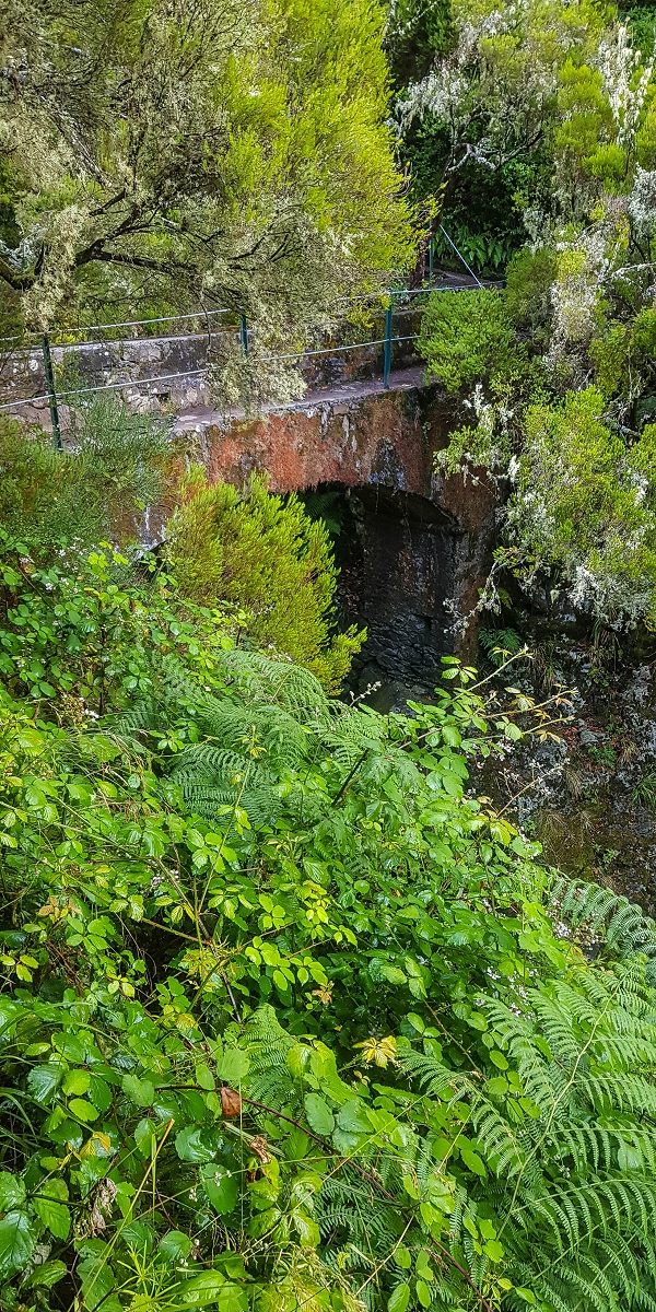 Levada Vinte e Cinco Fontes — Até às 25 fontes — foto 4
