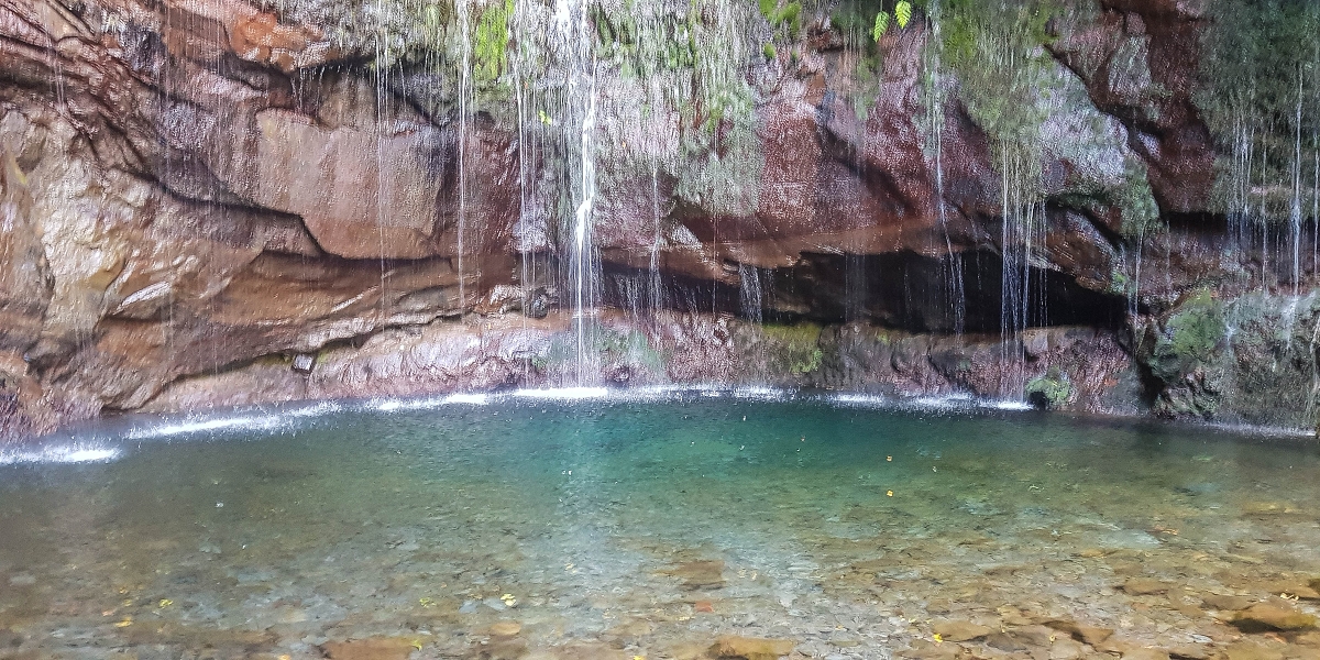 11 de agosto de 2021 Palha Carga e mais uma vez a Levada da Rocha Vermelha — Seguindo até às 25 fontes — foto 6