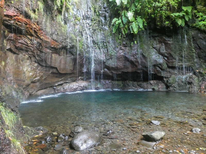 11 de agosto de 2021 Palha Carga e mais uma vez a Levada da Rocha Vermelha — Seguindo até às 25 fontes — foto 8