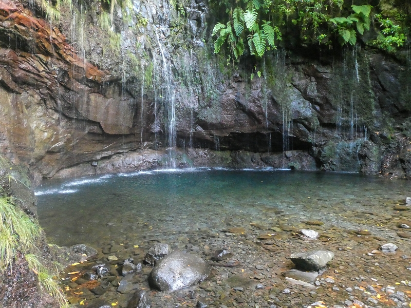 11 de agosto de 2021 Palha Carga e mais uma vez a Levada da Rocha Vermelha — Seguindo até às 25 fontes — foto 10