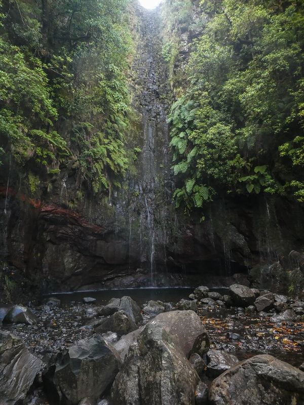 11 de agosto de 2021 Palha Carga e mais uma vez a Levada da Rocha Vermelha — Seguindo até às 25 fontes — foto 11