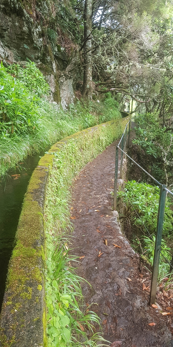 11 de agosto de 2021 Palha Carga e mais uma vez a Levada da Rocha Vermelha — Descida até à Levada da Rocha Vermelha — foto 1