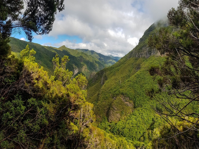 11 de agosto de 2021 Palha Carga e mais uma vez a Levada da Rocha Vermelha — Descida até à Levada da Rocha Vermelha — foto 4