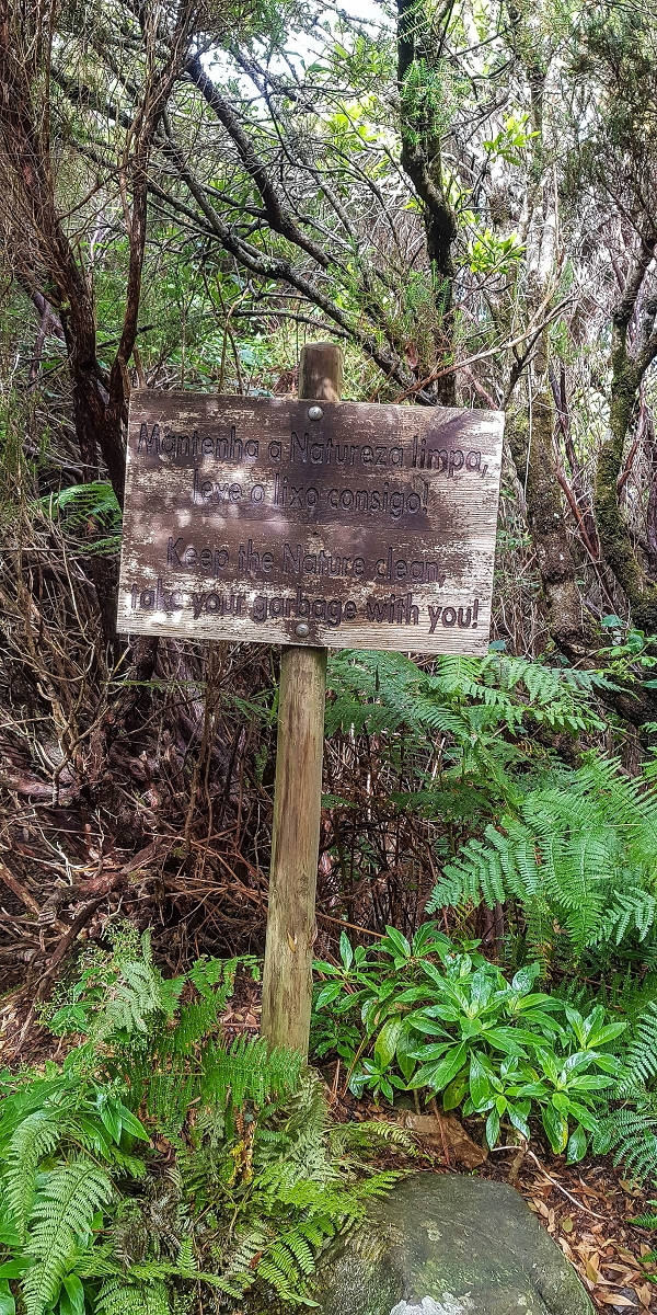 11 de agosto de 2021 Palha Carga e mais uma vez a Levada da Rocha Vermelha — Descida até à Levada da Rocha Vermelha — foto 6