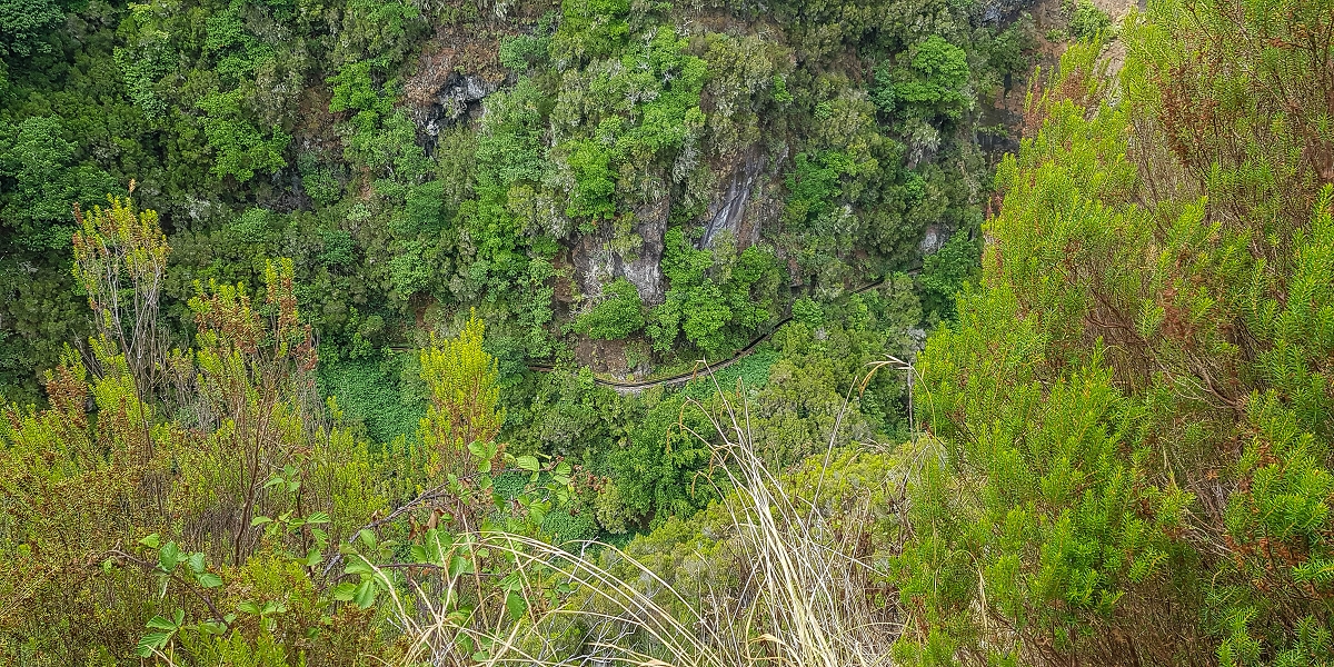 11 de agosto de 2021 Palha Carga e mais uma vez a Levada da Rocha Vermelha — Descida até à Levada da Rocha Vermelha — foto 7