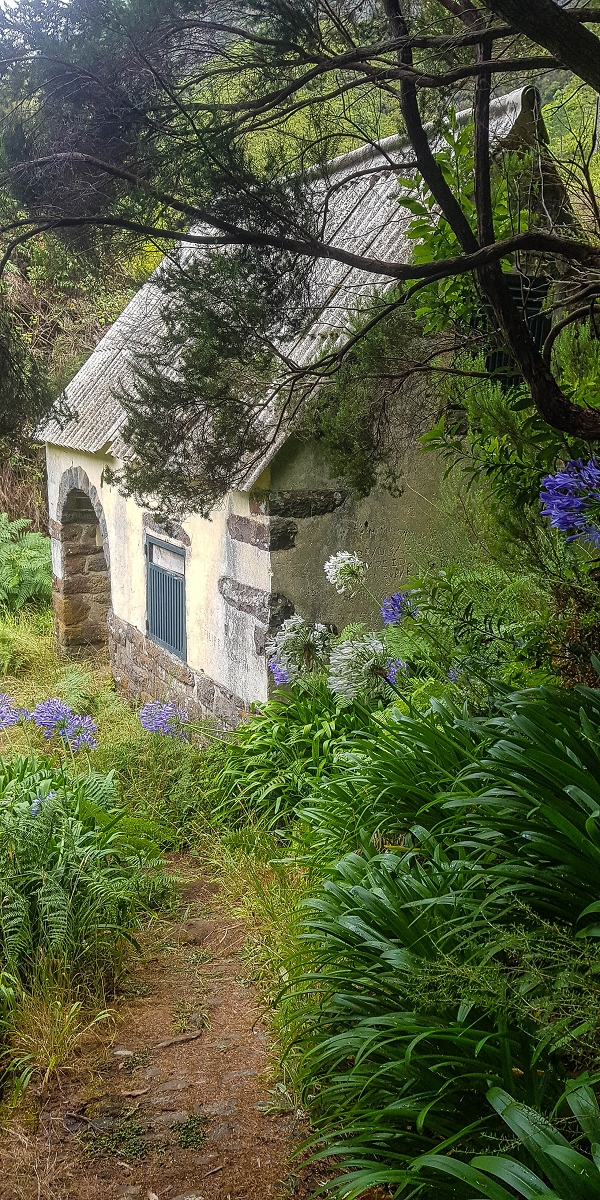 11 de agosto de 2021 Palha Carga e mais uma vez a Levada da Rocha Vermelha — Casa da levada e Levada da Rocha Vermelha — foto 1