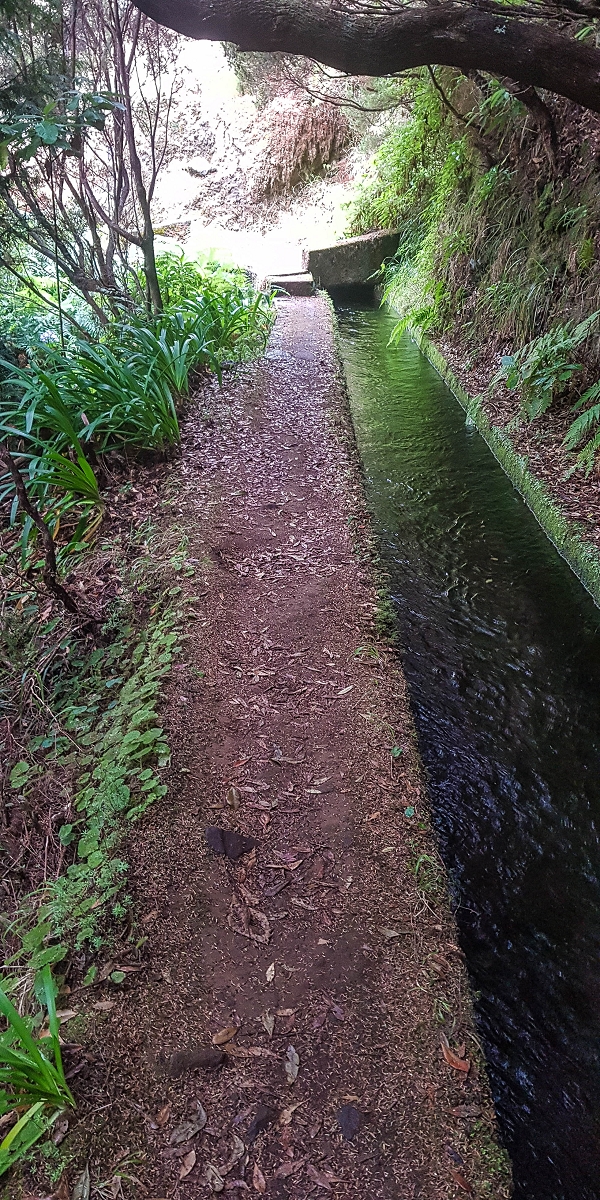 11 de agosto de 2021 Palha Carga e mais uma vez a Levada da Rocha Vermelha — Casa da levada e Levada da Rocha Vermelha — foto 2