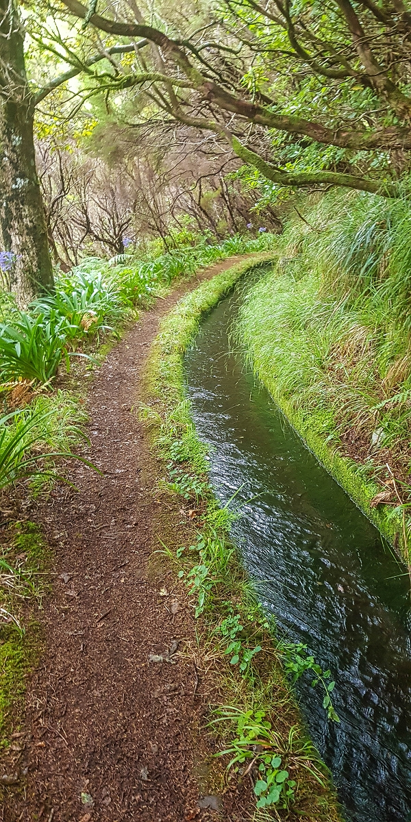 11 de agosto de 2021 Palha Carga e mais uma vez a Levada da Rocha Vermelha — Casa da levada e Levada da Rocha Vermelha — foto 3