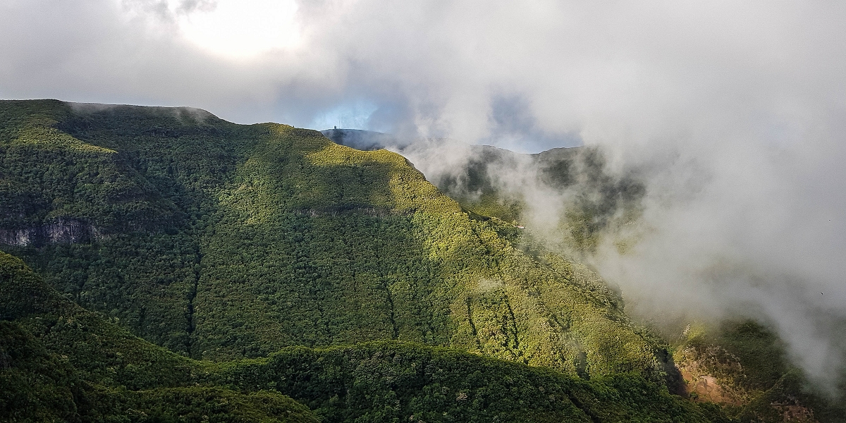 11 de agosto de 2021 Palha Carga e mais uma vez a Levada da Rocha Vermelha — Descida pela Palha Carga até à Ribeira dos Cedros — foto 5