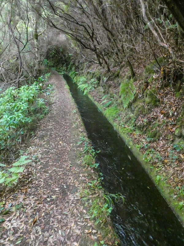 11 de agosto de 2021 Palha Carga e mais uma vez a Levada da Rocha Vermelha — Casa da levada e Levada da Rocha Vermelha — foto 4