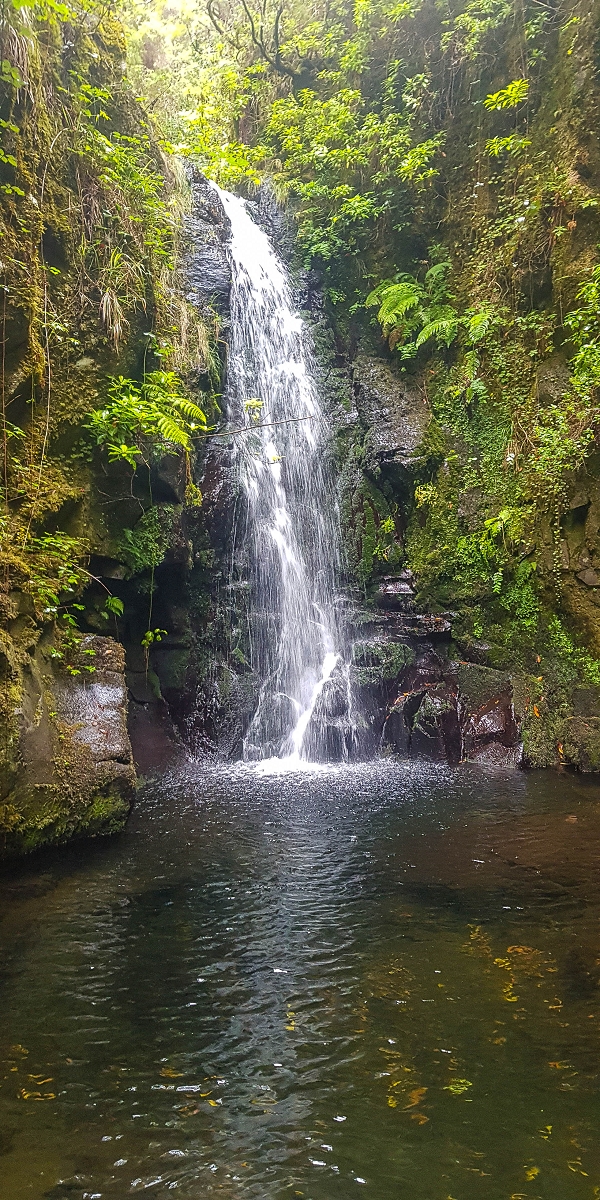 11 de agosto de 2021 Palha Carga e mais uma vez a Levada da Rocha Vermelha — Captação na Ribeira dos Cedros — foto 2