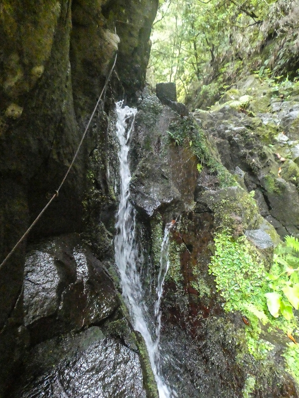 11 de agosto de 2021 Palha Carga e mais uma vez a Levada da Rocha Vermelha — Captação na Ribeira de Agua Negra — foto 2