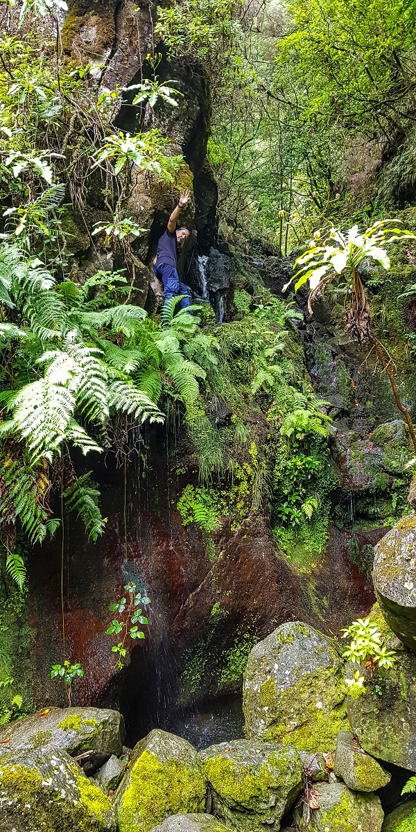 11 de agosto de 2021 Palha Carga e mais uma vez a Levada da Rocha Vermelha — Captação na Ribeira de Agua Negra — foto 6