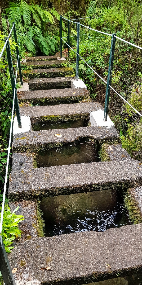 11 de agosto de 2021 Palha Carga e mais uma vez a Levada da Rocha Vermelha — Captações na Ribeira dos Cedros e na Ribeira de Agua Negra — foto 2