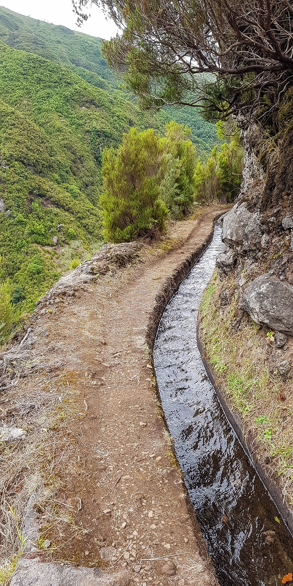 11 de agosto de 2021 Palha Carga e mais uma vez a Levada da Rocha Vermelha — Na Levada da Rocha Vermelha até Adeneiro — foto 1