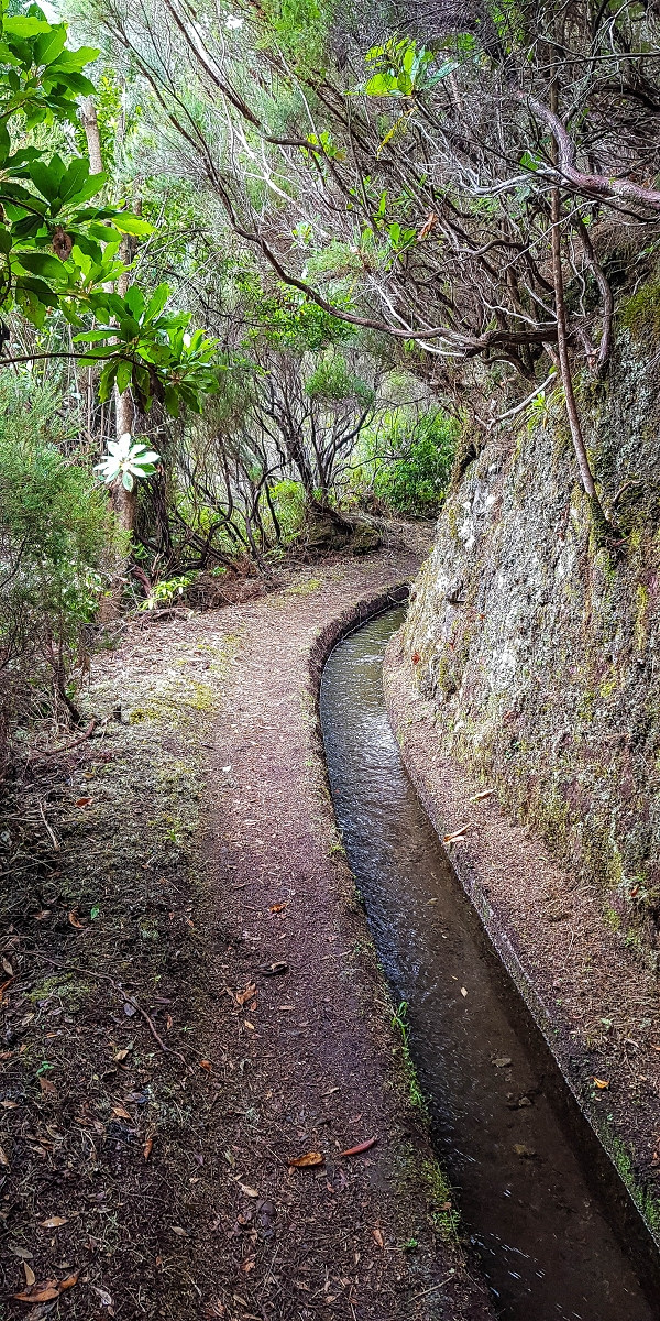 11 de agosto de 2021 Palha Carga e mais uma vez a Levada da Rocha Vermelha — Na Levada da Rocha Vermelha até Adeneiro — foto 3
