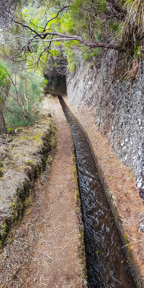 11 de agosto de 2021 Palha Carga e mais uma vez a Levada da Rocha Vermelha — Na Levada da Rocha Vermelha até Adeneiro — foto 4