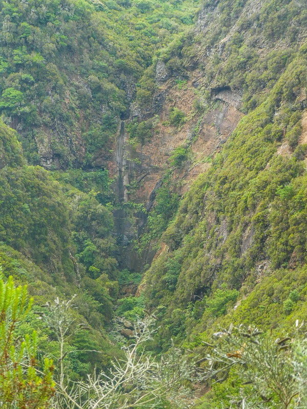11 de agosto de 2021 Palha Carga e mais uma vez a Levada da Rocha Vermelha — Na Levada da Rocha Vermelha até Adeneiro — foto 6