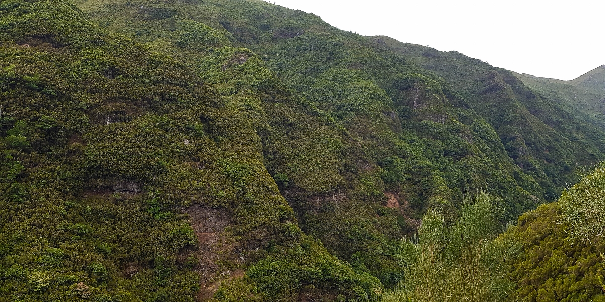 11 de agosto de 2021 Palha Carga e mais uma vez a Levada da Rocha Vermelha — Na Levada da Rocha Vermelha até Adeneiro — foto 7
