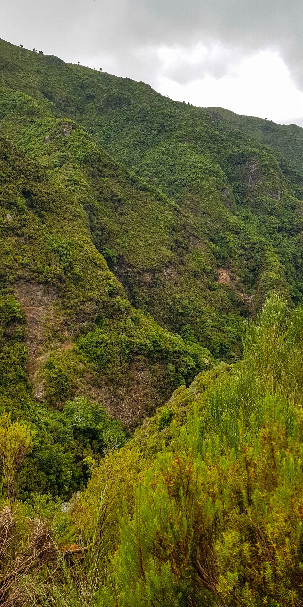 11 de agosto de 2021 Palha Carga e mais uma vez a Levada da Rocha Vermelha — Na Levada da Rocha Vermelha até Adeneiro — foto 8
