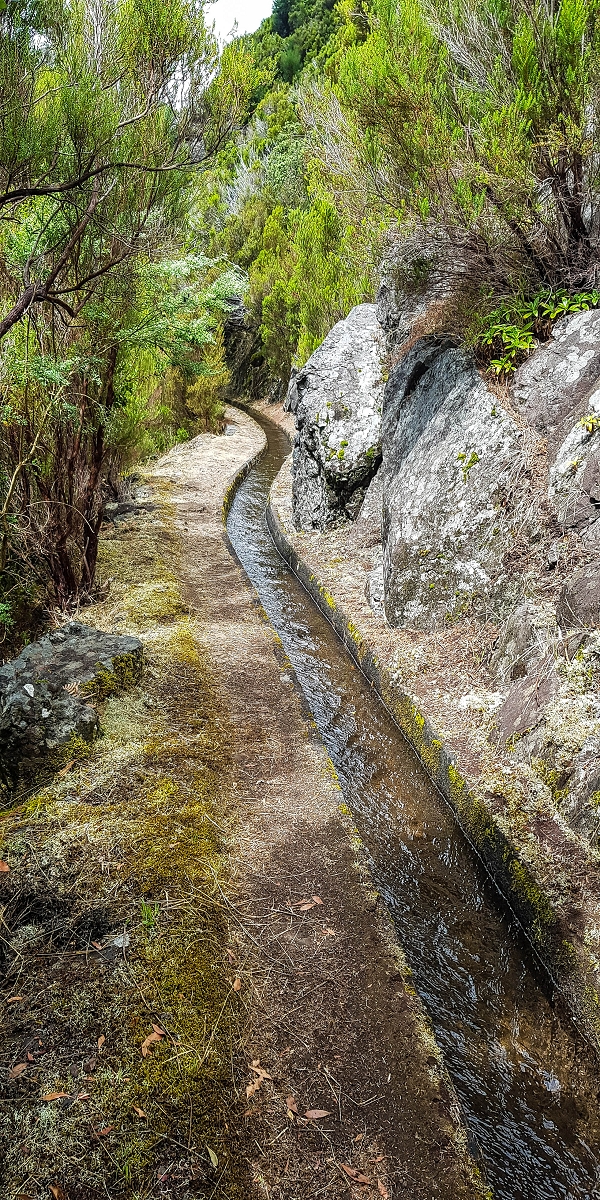11 de agosto de 2021 Palha Carga e mais uma vez a Levada da Rocha Vermelha — Na Levada da Rocha Vermelha até Adeneiro — foto 9