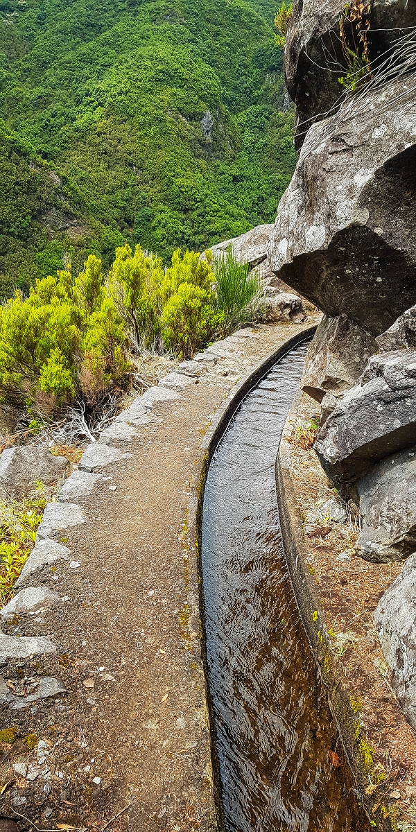 11 de agosto de 2021 Palha Carga e mais uma vez a Levada da Rocha Vermelha — Na Levada da Rocha Vermelha até Adeneiro — foto 10