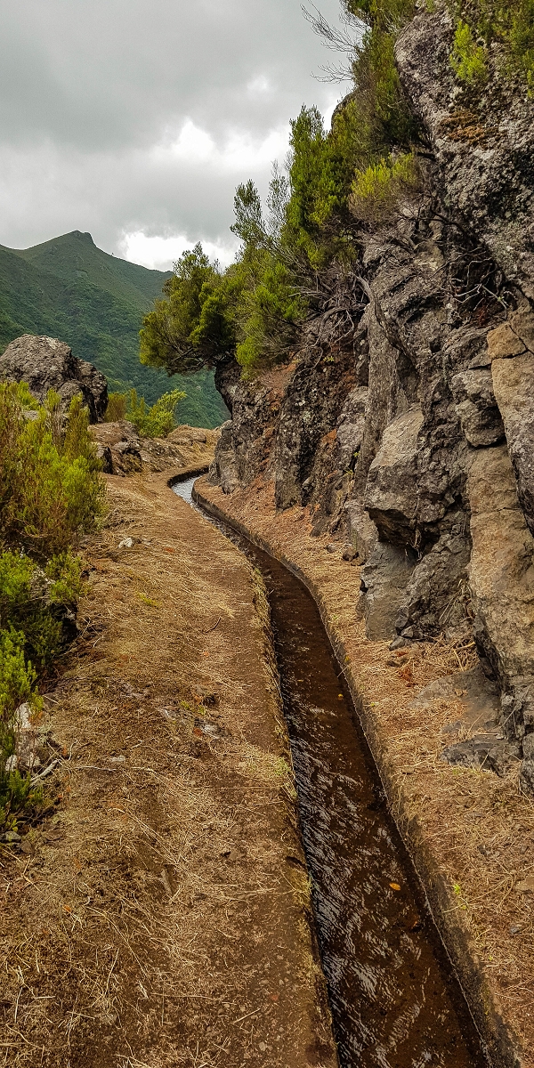 11 de agosto de 2021 Palha Carga e mais uma vez a Levada da Rocha Vermelha — Na Levada da Rocha Vermelha até Adeneiro — foto 11
