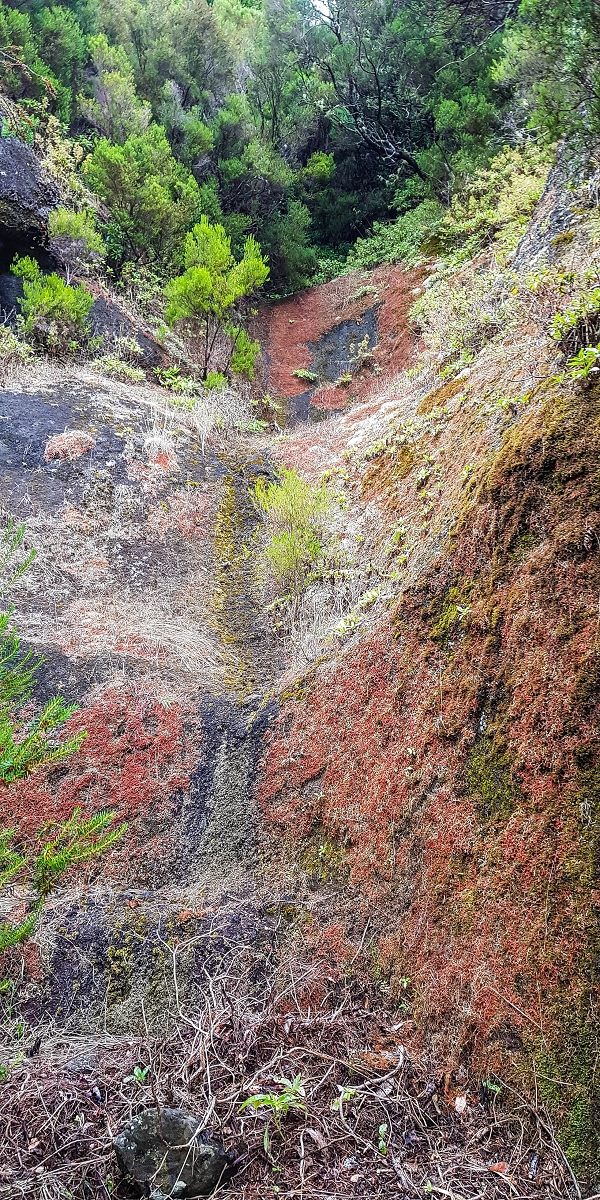 11 de agosto de 2021 Palha Carga e mais uma vez a Levada da Rocha Vermelha — Na Levada da Rocha Vermelha até Adeneiro — foto 12
