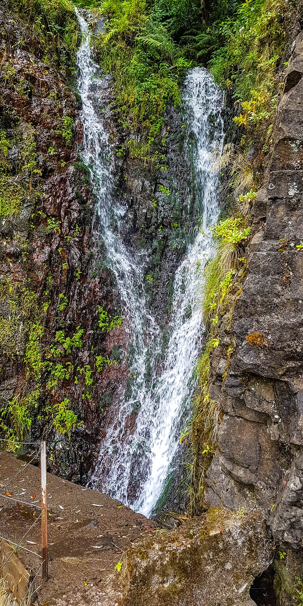 11 de agosto de 2021 Palha Carga e mais uma vez a Levada da Rocha Vermelha — Na Levada da Rocha Vermelha até Adeneiro — foto 16