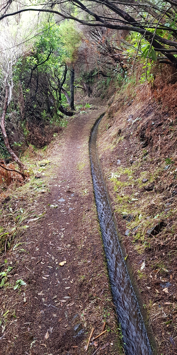 11 de agosto de 2021 Palha Carga e mais uma vez a Levada da Rocha Vermelha — Na Levada da Rocha Vermelha até ao Stairway to Heaven — foto 12