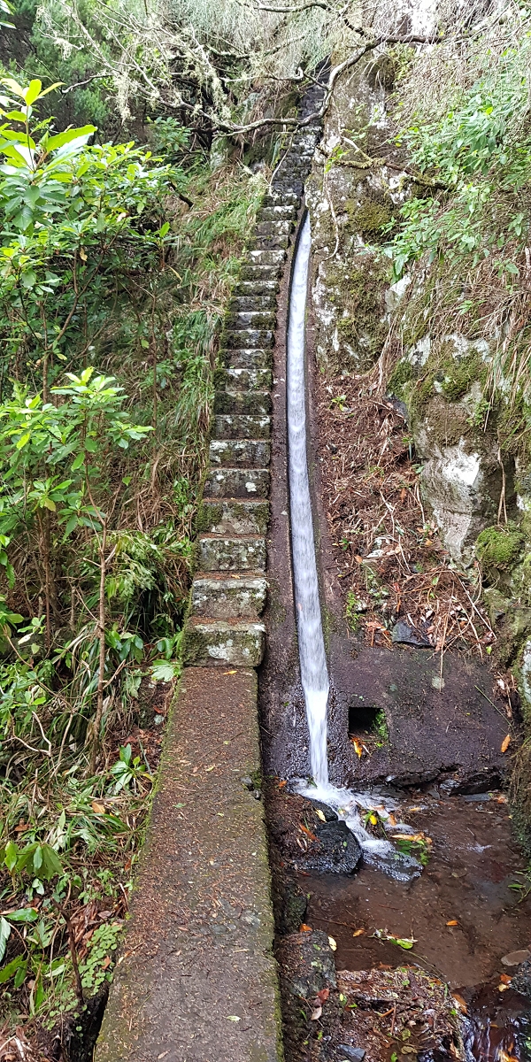 11 de agosto de 2021 Palha Carga e mais uma vez a Levada da Rocha Vermelha — Stairway to Heaven — foto 1