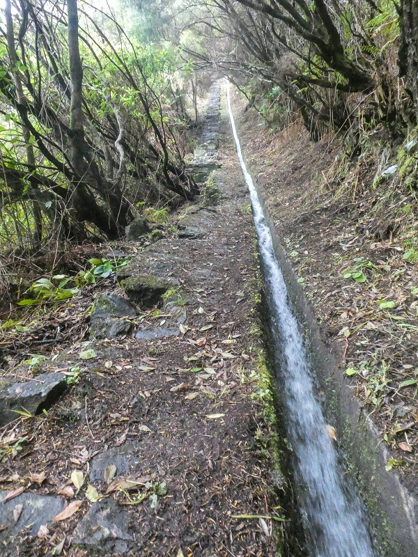 11 de agosto de 2021 Palha Carga e mais uma vez a Levada da Rocha Vermelha — Stairway to Heaven — foto 5