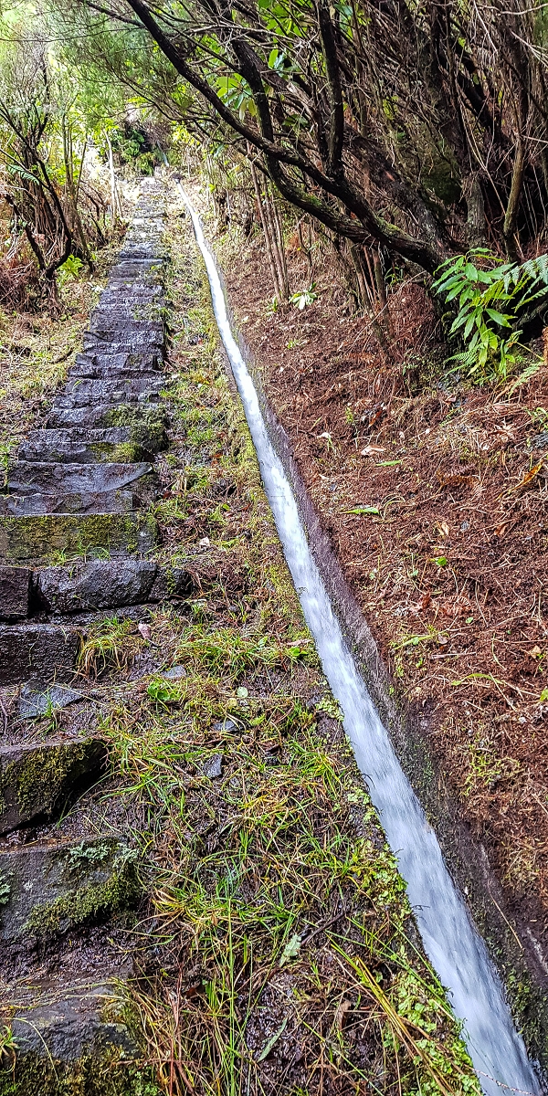 11 de agosto de 2021 Palha Carga e mais uma vez a Levada da Rocha Vermelha — Stairway to Heaven — foto 6