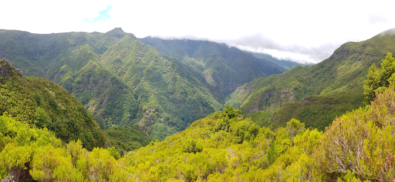 11 de agosto de 2021 Palha Carga e mais uma vez a Levada da Rocha Vermelha — Stairway to Heaven — foto 8
