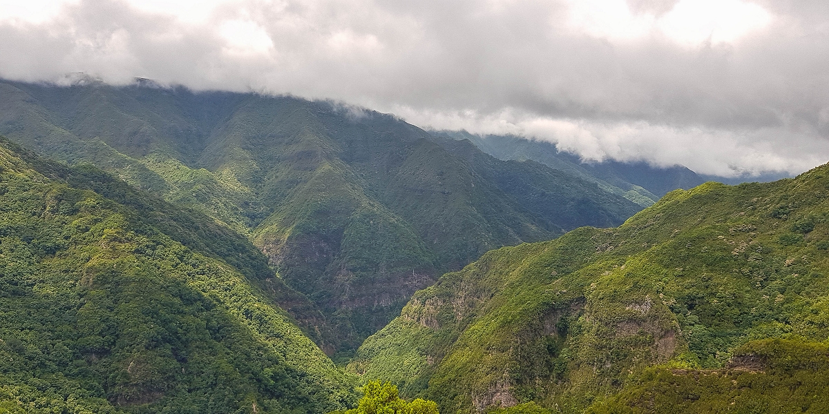 11 de agosto de 2021 Palha Carga e mais uma vez a Levada da Rocha Vermelha — Stairway to Heaven — foto 9