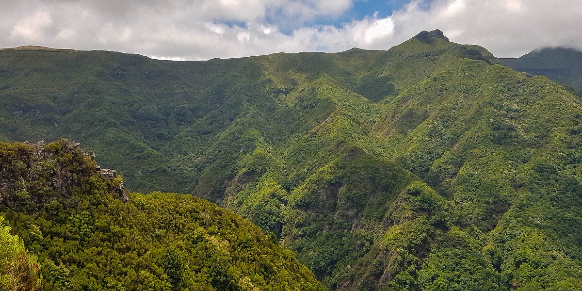 11 de agosto de 2021 Palha Carga e mais uma vez a Levada da Rocha Vermelha — Stairway to Heaven — foto 10