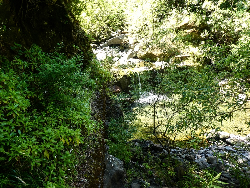 Levada dos Louros — Passage through the forest — photo 5