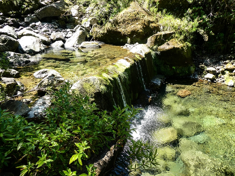 12 May 2019 Madeira forum walk and exploring the Levada dos Louros — On the overgrown Levada dos Louros to the Madre — photo 15