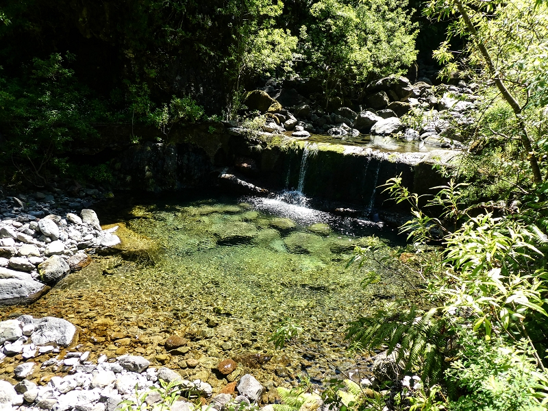 Levada dos Louros — The Madre in the Ribeira do Porco — photo 3
