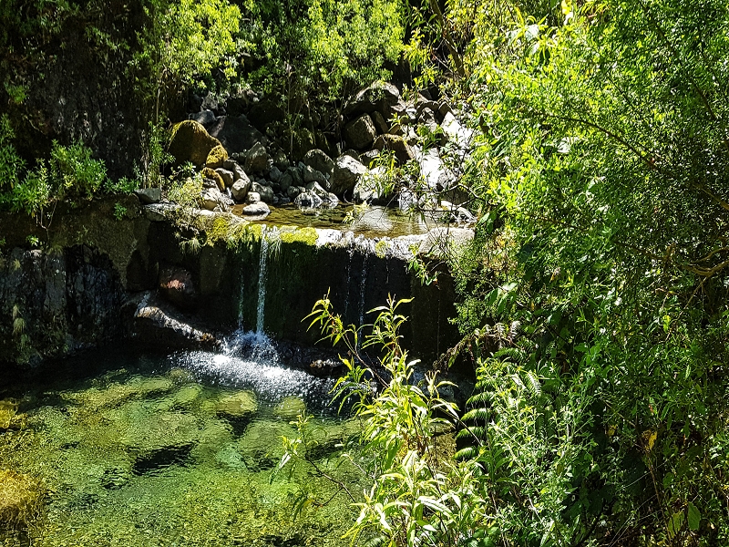 Levada dos Louros — The Madre in the Ribeira do Porco — photo 4
