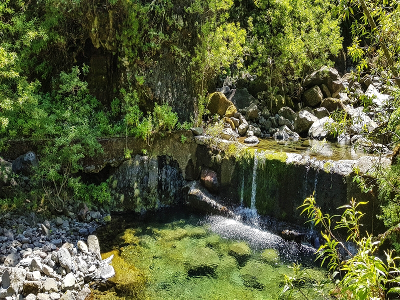 Levada dos Louros — The Madre in the Ribeira do Porco — photo 5