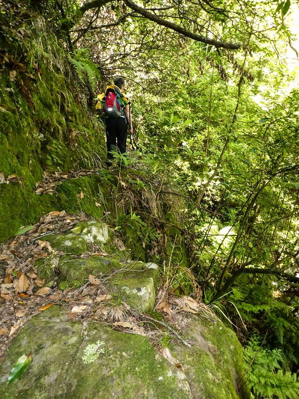 12 May 2019 Madeira forum walk and exploring the Levada dos Louros — Ascent to the Levada dos Tornos — photo 1
