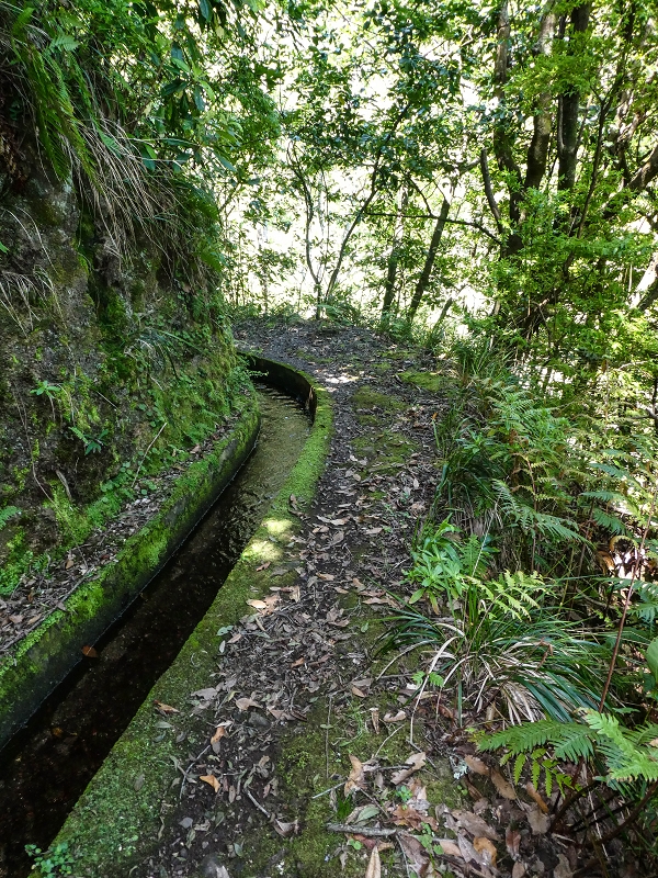 12 May 2019 Madeira forum walk and exploring the Levada dos Louros — On the Levada dos Tornos — photo 1