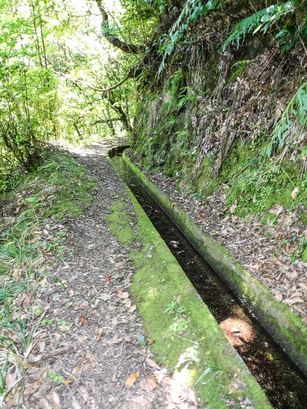 12 May 2019 Madeira forum walk and exploring the Levada dos Louros — On the Levada dos Tornos — photo 2