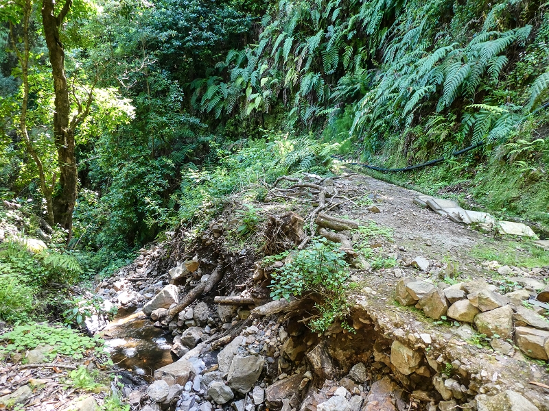 12 May 2019 Madeira forum walk and exploring the Levada dos Louros — On the Levada dos Tornos — photo 4