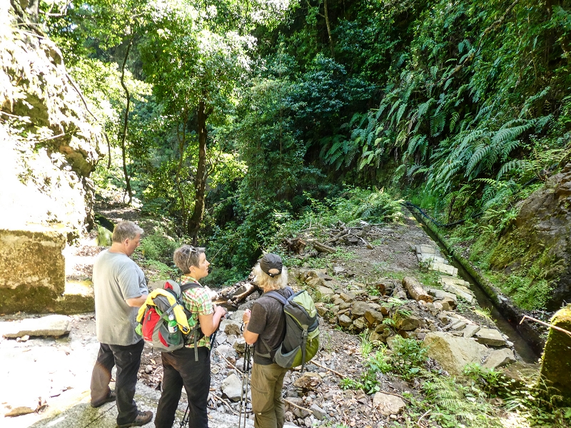 12 May 2019 Madeira forum walk and exploring the Levada dos Louros — On the Levada dos Tornos — photo 5