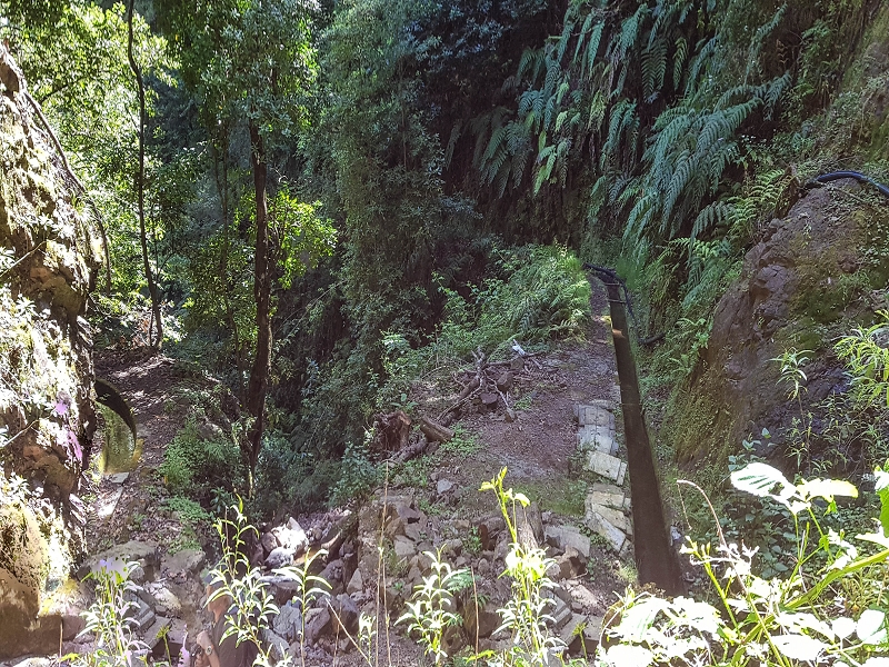 12 May 2019 Madeira forum walk and exploring the Levada dos Louros — On the Levada dos Tornos — photo 6