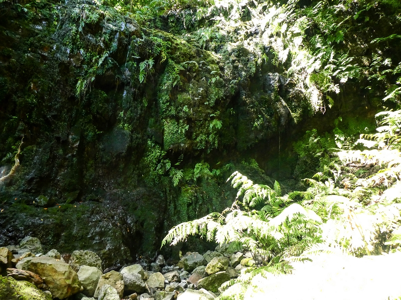 12 May 2019 Madeira forum walk and exploring the Levada dos Louros — On the Levada dos Tornos — photo 7