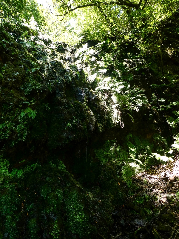 12 May 2019 Madeira forum walk and exploring the Levada dos Louros — On the Levada dos Tornos — photo 9