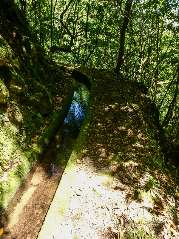 12 May 2019 Madeira forum walk and exploring the Levada dos Louros — On the Levada dos Tornos — photo 10